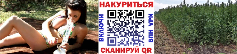 купить   Набережные Челны  Бошки марихуана SATIVA & INDICA 